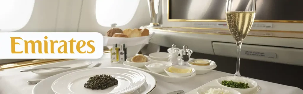 Change-Meal-Preference-on-Emirates-Flight